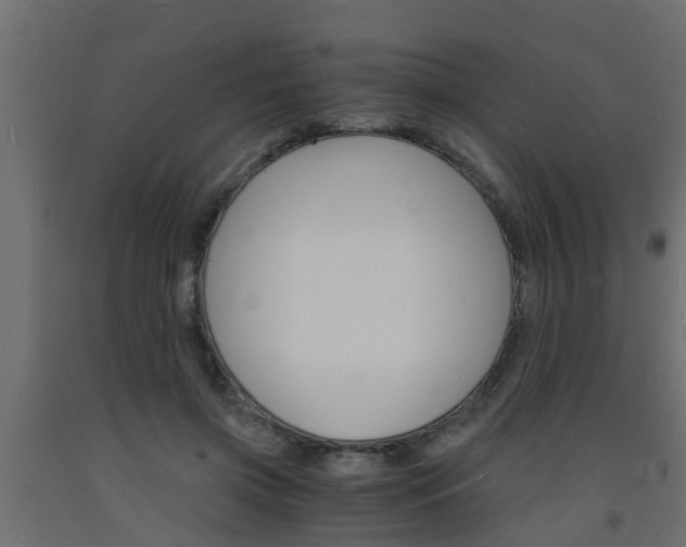 X0000093570549200710151019