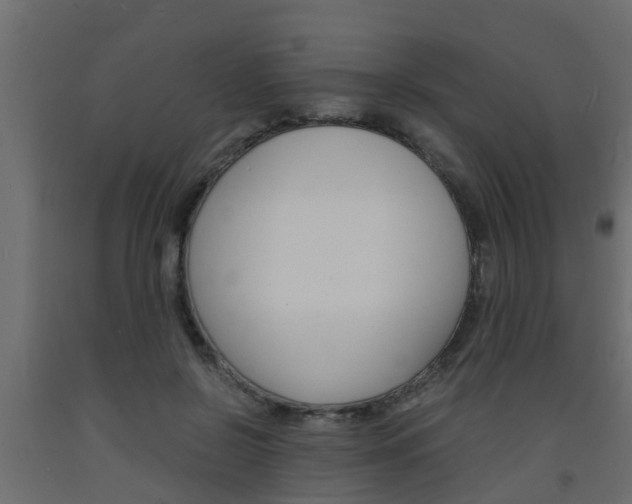 X0000093570550200710151019