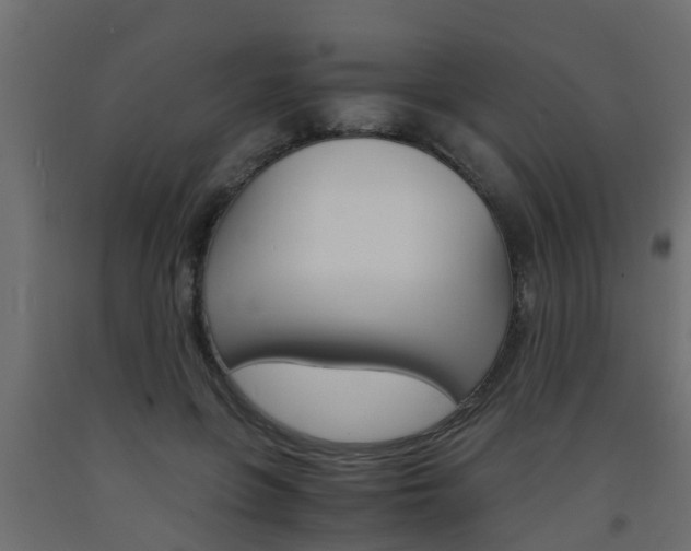 X0000093570551200710151019