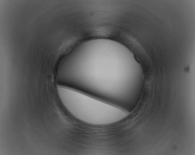 X0000093570552200710151019