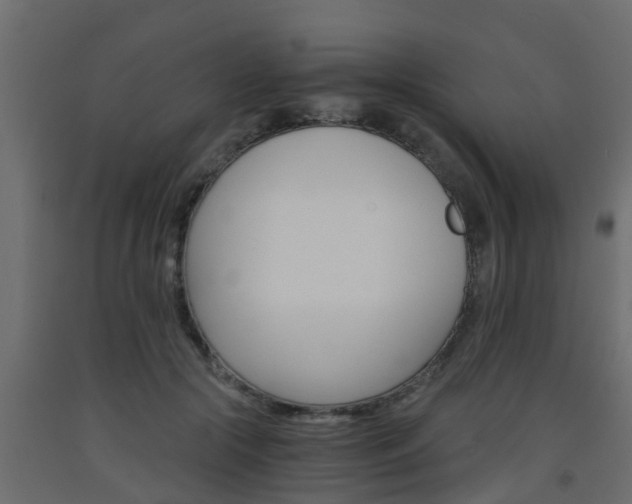 X0000093570553200710151019