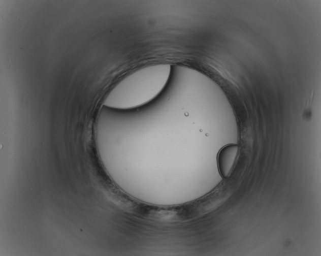 X0000093570554200710151019