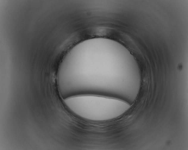 X0000093570555200710151019