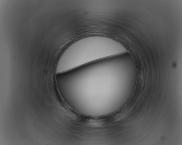 X0000093570556200710151019