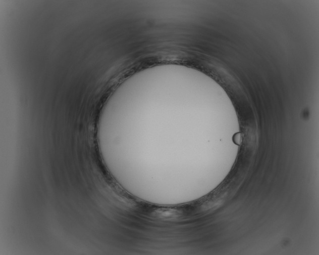 X0000093570557200710151019