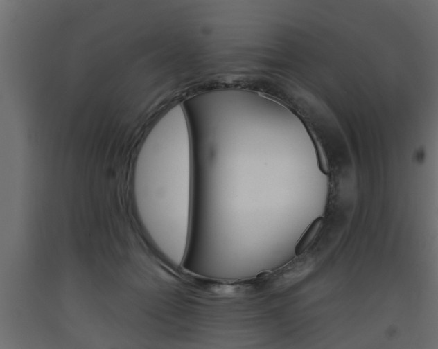 X0000093570558200710151019