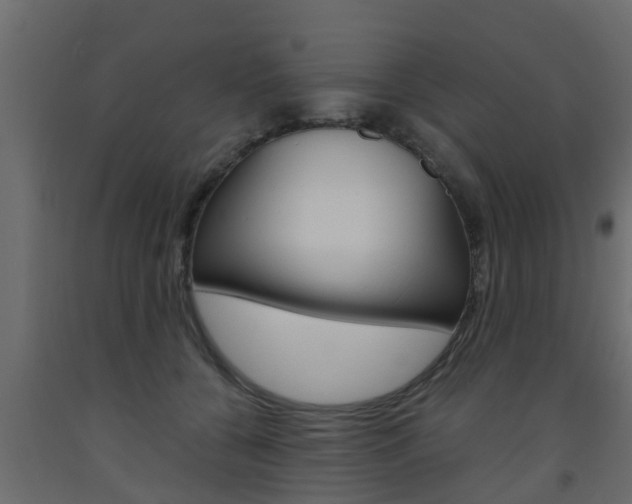 X0000093570560200710151019