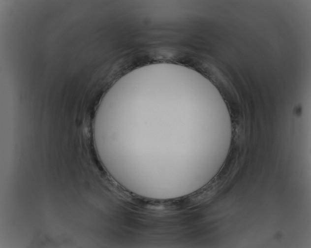 X0000093570561200710151019