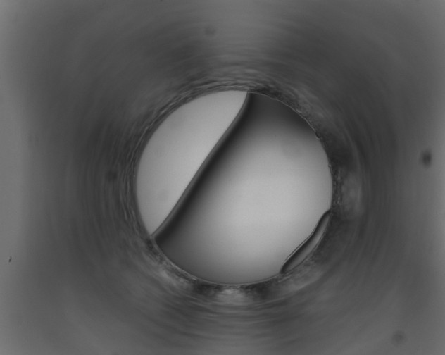 X0000093570562200710151019