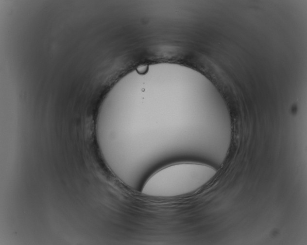 X0000093570563200710151019