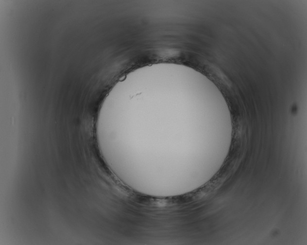 X0000093570565200710151019