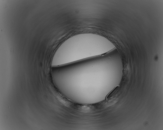 X0000093570566200710151019