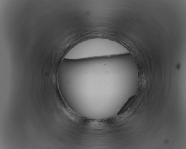 X0000093570568200710151019