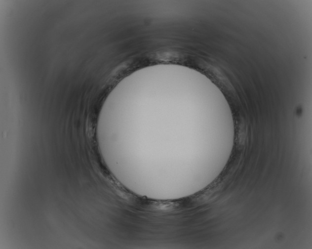 X0000093570569200710151019