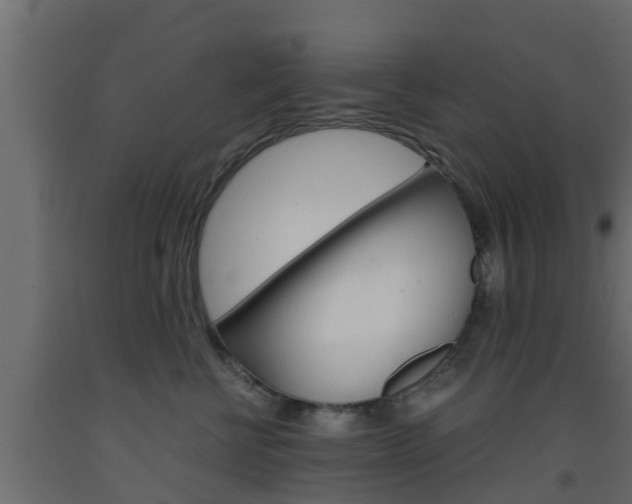 X0000093570570200710151019