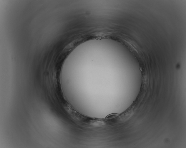 X0000093570572200710151019