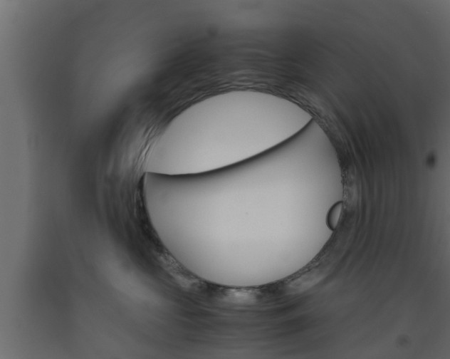 X0000093570573200710151019