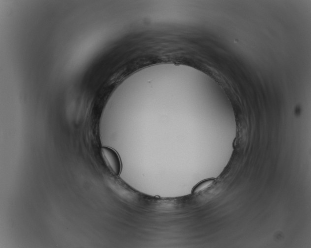 X0000093570574200710151019