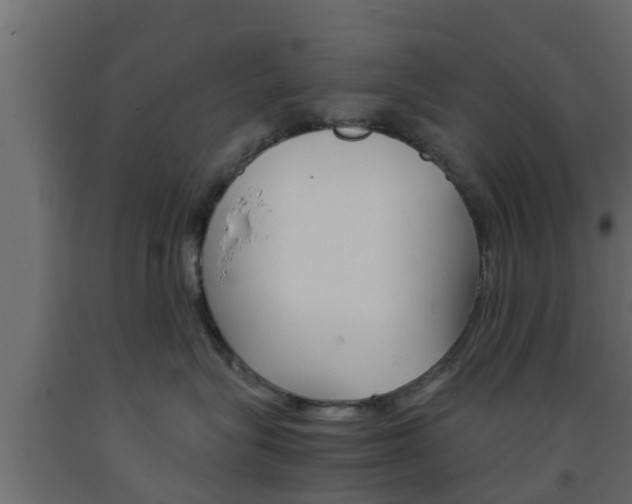 X0000093570575200710151019