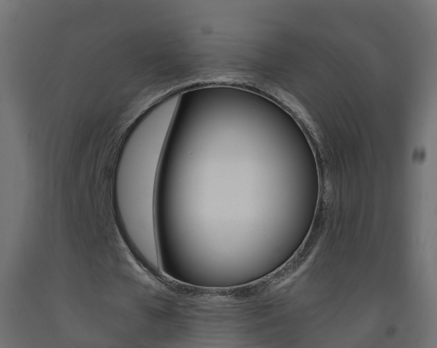 X0000093570577200710151018