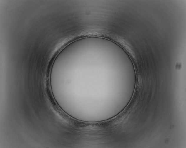 X0000093570578200710151018