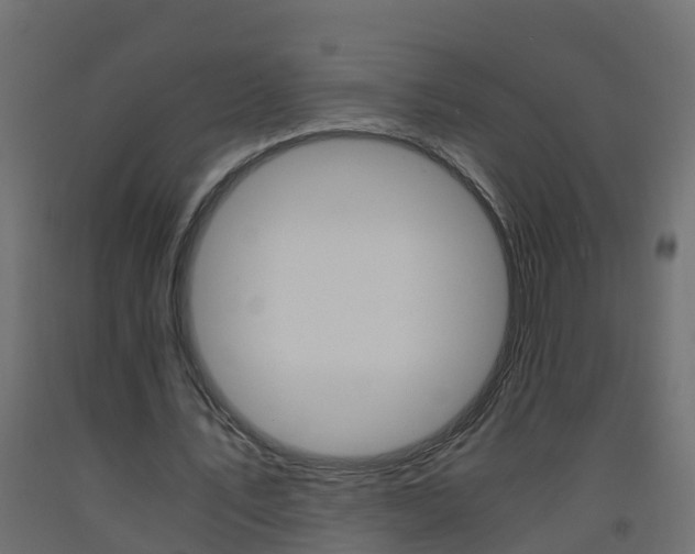 X0000093570579200710151018