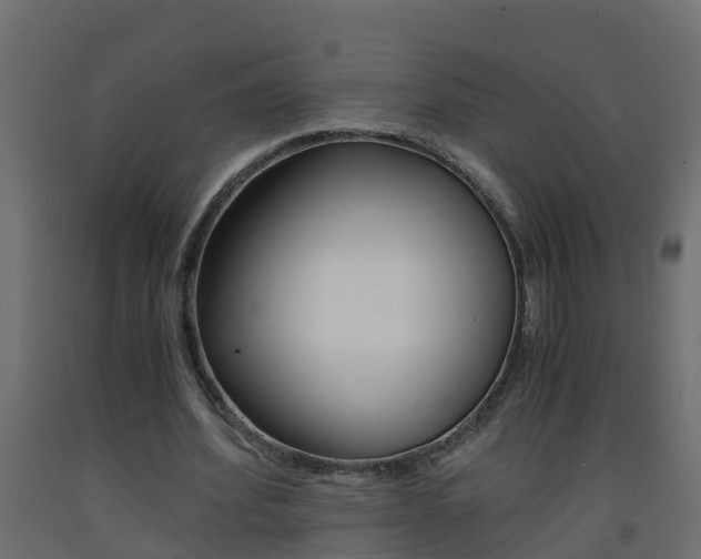 X0000093570580200710151018
