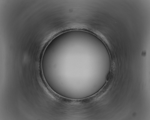 X0000093570581200710151018