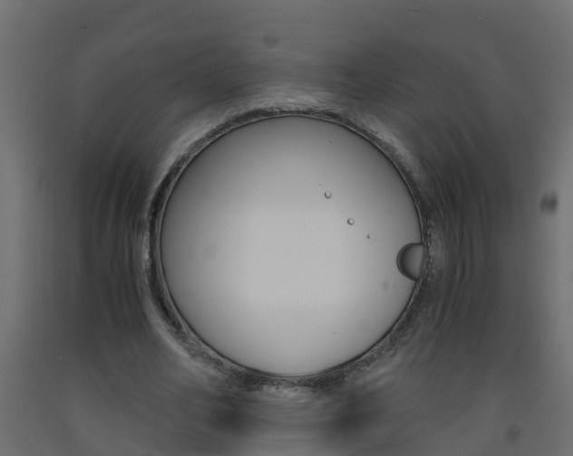 X0000093570582200710151018