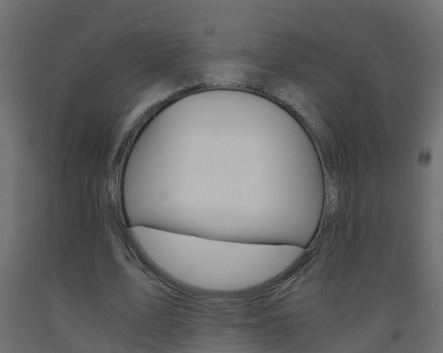 X0000093570583200710151018