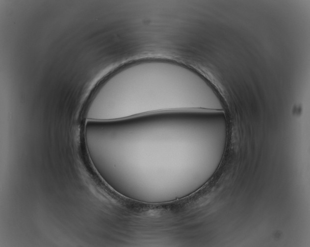 X0000093570584200710151018
