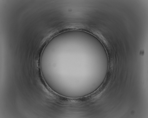 X0000093570585200710151018