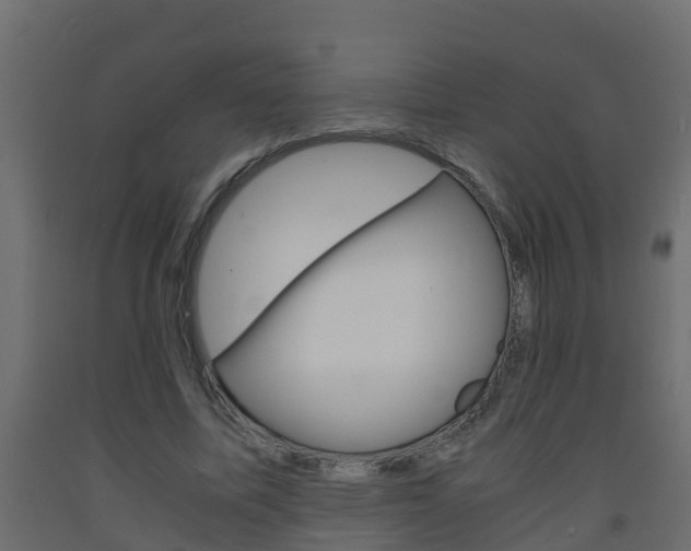 X0000093570587200710151018