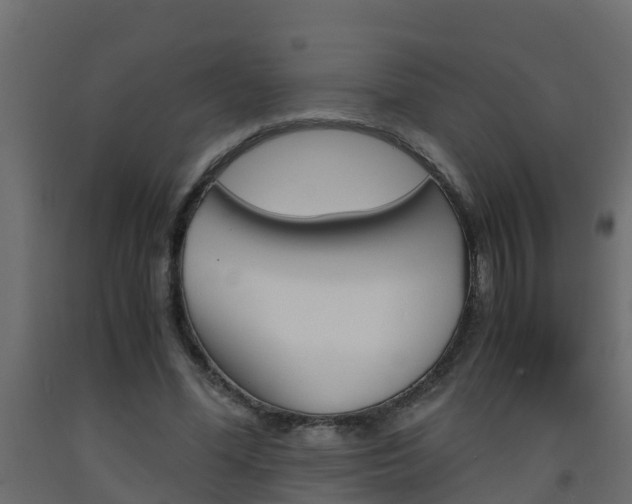 X0000093570588200710151018