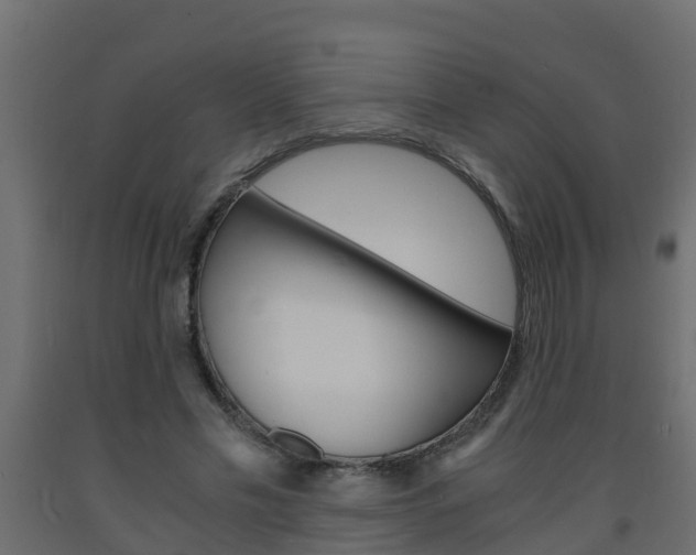 X0000093570589200710151018