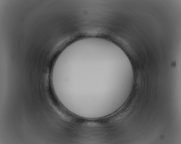 X0000093570590200710151018