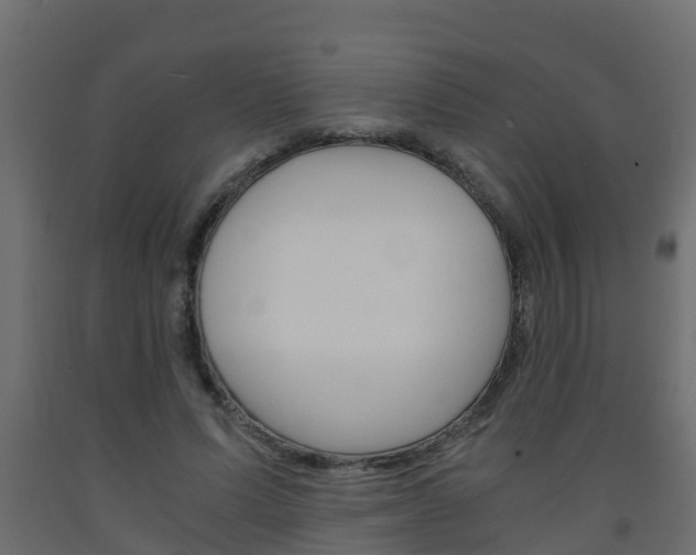 X0000093570591200710151018