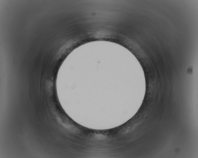 X0000093570592200710151018