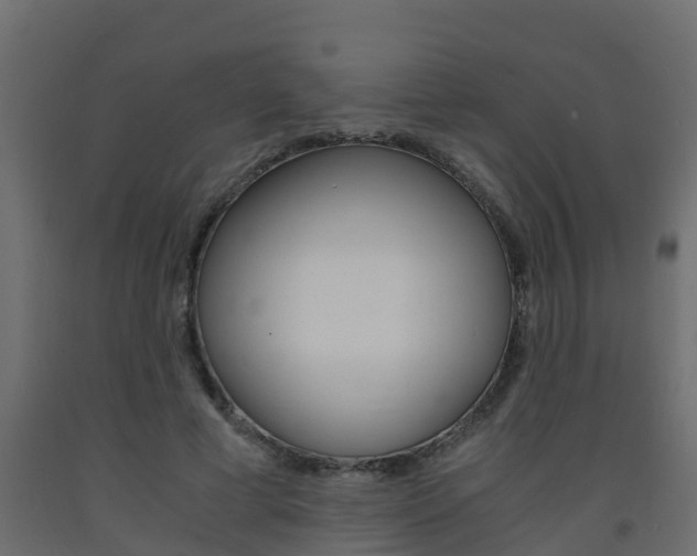 X0000093570593200710151018