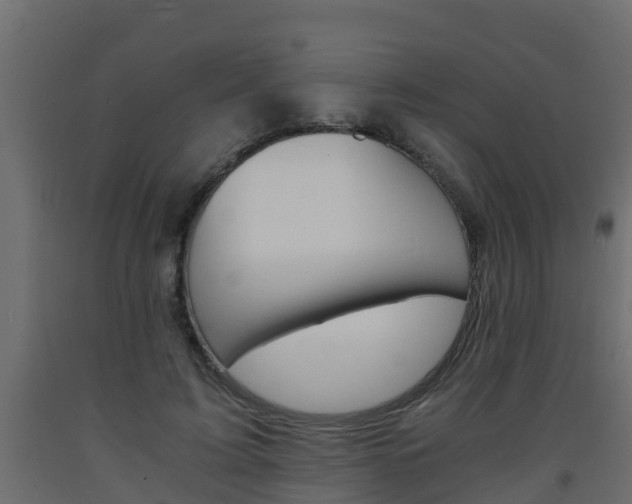 X0000093570595200710151018
