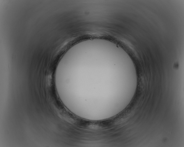 X0000093570596200710151018