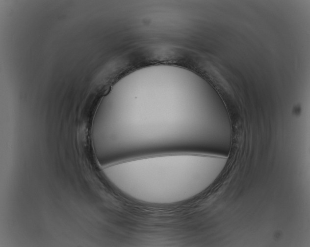 X0000093570597200710151018