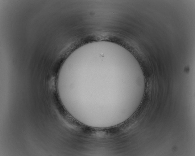 X0000093570598200710151018