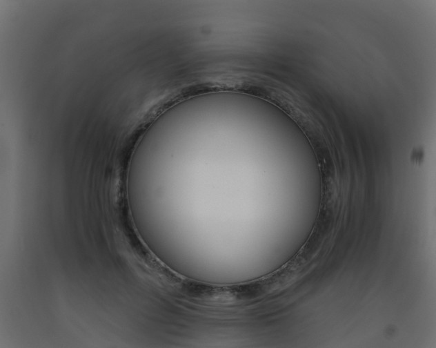 X0000093570600200710151018