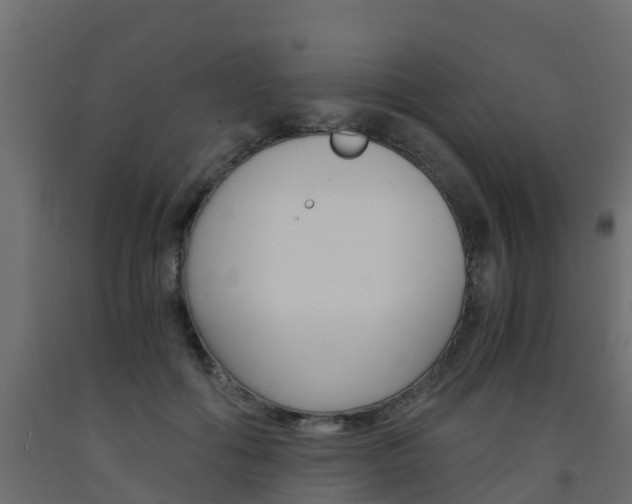 X0000093570602200710151018