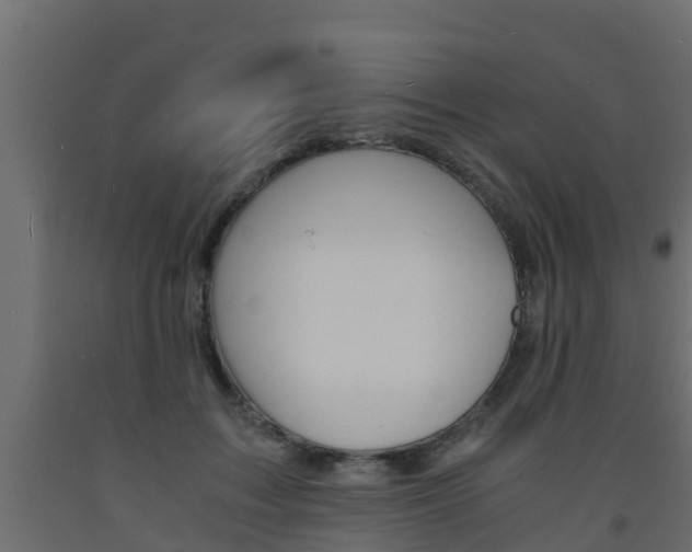 X0000093570603200710151018