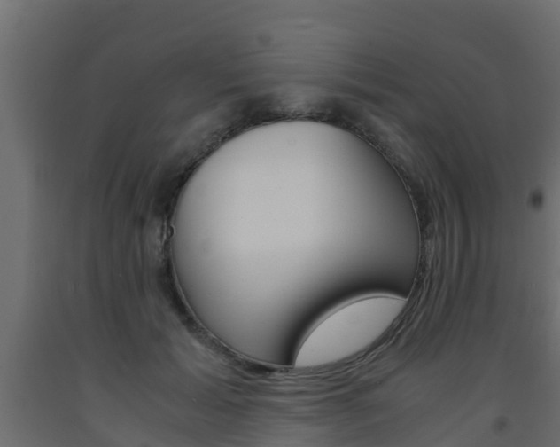 X0000093570605200710151018
