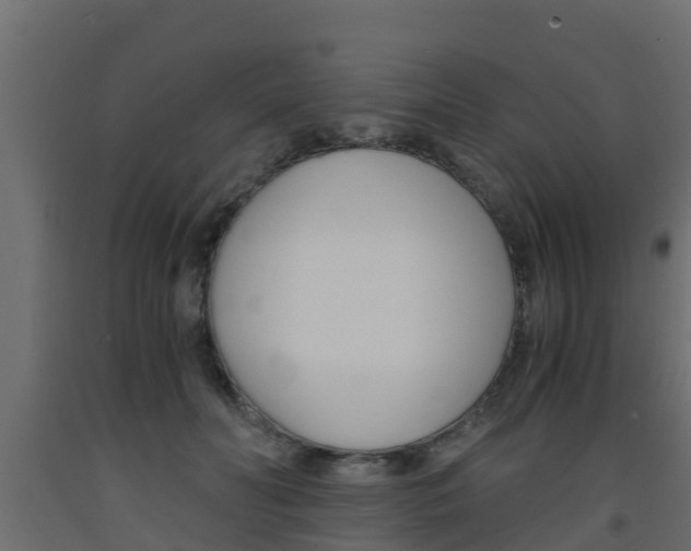 X0000093570606200710151018