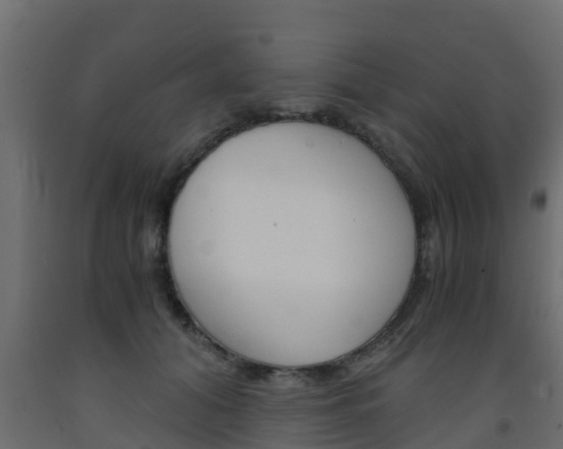 X0000093570608200710151018