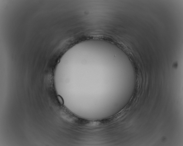 X0000093570609200710151018